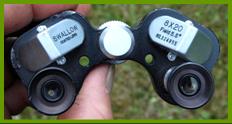 Swallow 8x20 binoculars