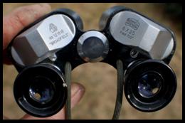 Bushnell 6x25 binoculars