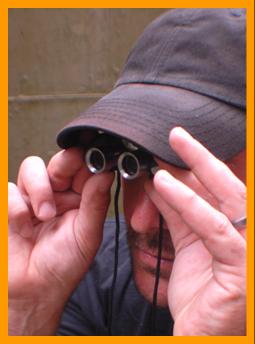 Birdwatching with Miniature binoculars