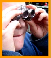 Young Child Looking through Binoculars at racoons