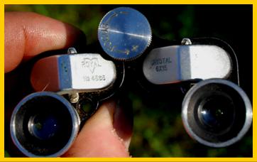 Royal 6x15 binoculars