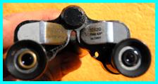 Falcon 10x20 binoculars