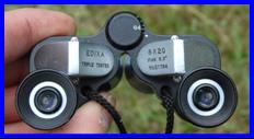 Edixa 8x20 binoculars