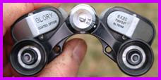 Glory 8x20 binoculars