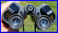 Focal 12x50 binoculars