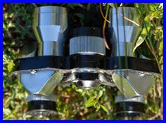 Enbeeco 7x20 Micron Crown binoculars
Enbeeco 7x20 Micron Crown jumelles.
Enbeeco 7x20 Micron Crown fernglas.
Enbeeco 7x20 Micron ccrown prismaticos.
Enbeeco 7x20 Micron Crown binociulares.
Enbeeco 7x20 Micron  Crown binocolo.
Enbeeco 7x20 Micron Crown kikare.
Enbeeco 7x20 Micron Crown kikkert.
Enbeeco 7x20 Micron Crown verrekijker.
Enbeeco 7x20 Micron Crown kiikarit.
Enbeeco 7x20 Micron Crown dylbi.
Enbeeco 7x20 Micron Crown dvogled.
Enbeeco 7x20 Micron Crown dalekohled.
Enbeeco 7x20 Micron Crown binoklis.
Enbeeco 7x20 Micron Crown ziuronai.
Enbeeco 7x20 Micron Crown lornetka.
Enbeeco 7x20 Micron Crown binoclu.
Enbeeco 7x20 Micron Crown durbun.
Enbeeco 7x20 Micron Crown ong nhom.