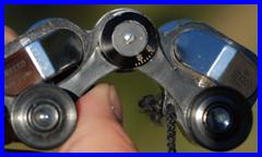 Enbeeco Micron Crown 7x20 binoculars.
Enbeeco Micron Crown 7x20 fernglas.
Enbeeco Micron crown 7x20 jumelles.
Enbeeco Micron crown 7x20 prismaticos.
Enbeeco Micron Crown 7x20 binoculares
Enbeeco Micron Crown 7X20 binocolo.
Enbeeco Micron Crown 7x20 kikare.
Enbeeco Micron Crown 7x20 kikert.
Enbeeco Micron Crown 7x20 verrekijker.
Enbeeco Micron Crown 7x20 kiikarit.
Enbeeco Micron Crown 7x20 dylbi.
Enbeeco Micron Crown 7x20 dvogled.
Enbeeco Micron Crown 7x20 dalekohled.
Enbeeco Micron Crown 7x20 binoklis.
Enbeeco Micron Crown 7x20 ziuronai.
Enbeeco Micron Crown 7x20 lornetka.
Enbeeco Micron Crown 7x20 binoclu.
Enbeeco Micron Crown 7x20 durbun.
Enbeeco Micron Crown 7x20 ong nhom.

