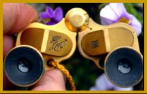 Fata Morgana 4x binoculars gold
Fata Morgana 4x jumelles.
Fata Morgana 4x fernglas
Fata Morgana 4x kikare.
Fata Morgana 4x kikkert.
Fata Morgana 4x verrekijker.
fata Morgana 4x prismaticos.
Fata Morgana 4x binocolo.
Fata Morgana 4x binoculares.
Fata Morgana 4x kiikarit.
Fata Morgana 4x dylbi..
Fata Morgana 4x dvogled.
Fata Morgana 4x dalekohled.
Fata Morgana 4x binoklis.
Fata Morgana 4x ziuronai.
Fata Morgana 4x lornetka.
Fata Morgana 4x binoclu.
Fata Morgana 4x durbun.
Fata Morgana 4xong nhom.
Fata Morgana miniature binoculars.
Fata Morgana binoculars.