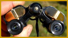 Regent 7x20 binoculars.
Regent 7x20 jumelles.
Regent 7x20 kikare.
Regent 7x20 fernglas.
Regent 7x20 prismaticos.
Regent 7x20 binoculares.
Regent 7x20 kikkert.
Regent 7x20 verrekijker.
Regent 7x20 binocolo.
Regent 7x20 kiikarit.
Regent 7x20 dylbi.
Regent 7x20 dvogled.
Regent 7x20 dalekohled.
Regent 7x20 binoklis.
Regent 7x20 ziuronai.
Regent 7x20 lornetka.
Regent 7x20 binoclu.
Regent 7x20 durbun.
Regent 7x20 ong nhom.