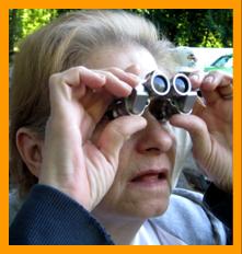 Bird Watcher Using Small Binoculars