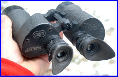 WWII USN SARD 7x50 binoculars Mark 21
