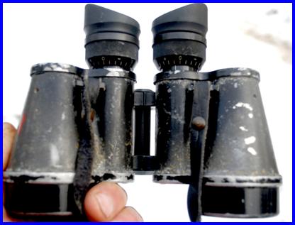 1953 O.I.P. 8x38 binoculars Armee du Luxembourg military binoculars