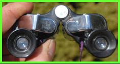 Sans & Streiffe 7x18 binoculars.
Sans & Streiffe 7x18 jumelles.
Sans & Streiffe 7x18 fernglas.
Sans & Streiffe 7x18 binocolo.
Sans & Streiffe 7x18 binoculares.
Sans & Streiffe 7x18 prismaticos,
Sans & Streiffe 7x18 kikkert.
Sans 7 Streiffe 7x18 verrekijker.
Sans & Streiffe 7x18 kiikarit.
Sans & Streiffe 7x18 kikare.
Sans & Streiffe 7x18 dylbi.
Sans & Streiffe 7x18 dvogled.
Sans & Streiffe 7x18 dalekohled.
Sans & Streiffe 7x18 binoklis.
Sans & Streiffe 7x18 ziuronai.
Sans & Streiffe 7x18 lornetka.
Sans & Streiffe 7x18 binoclu.
Sans & Streiffe 7x18 durbun.
Sans $ Streiffe 7x18 ong nhom.
Sans & Streiffe miniature binoculars.
Sans & Streiffe binoculars.