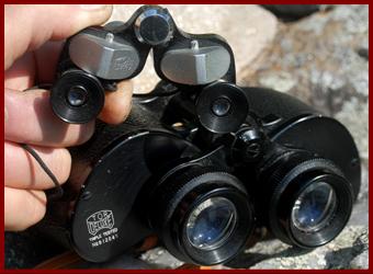 TOR binoculars.
TOR jumelles.
TOR fernglas.
TOR binocolo.
TOR binoculares.
TOR prismaticos.
TOR kikkert.
TOR verrekijker.
TOR kuukarit.
TOR kikare.
TOR dylbi.
TOR dvogled.
TOR dalekohled.
TOR binoklis.
TOR ziuronai.
TOR lornetka.
TOR binoclu.
TOR durbun.
TOR ong nhom. 