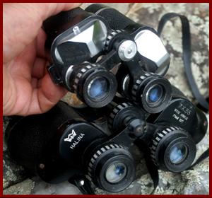 Halina binoculars.
Halina jumelles.
Halina fernglas.
Halina binocolo.
Halina binoculares.
Halina prismaticos.
Halina kikkert.
Halina verrekijker.
Halina kiikarit.
Halina kikare.
Halina dylbi.
Halina dvogled.
Halina dalekohled.
Halina binoklis.
Halina ziuronai.
Halina lornetka.
Halina binoclu.
Halina durbun.
Halina ong nhom. 