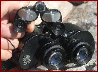 TOR binoculars.
TOR jumelles.
TOR fernglas.
TOR binocolo.
TOR binoculares.
TOR prismaticos.
TOR kikkert.
TOR verrekijker.
TOR kuukarit.
TOR kikare.
TOR dylbi.
TOR dvogled.
TOR dalekohled.
TOR binoklis.
TOR ziuronai.
TOR lornetka.
TOR binoclu.
TOR durbun.
TOR ong nhom. 