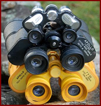 Apollo binoculars.
Apollo jumelles.
Apollo fernglas.
Apollo binocolo.
Apollo binoculares.
Apollo prismaticos.
Apollo kikkert.
Apollo verrekijker.
Apollo kiikarit.
Apollo kikare.
Apollo dylbi.
Apollo dvogled.
Apollo dalekohled.
Apollo binoklis.
Apollo ziuronai.
Apollo lornetka.
Apollo binoclu.
Apollo durbun.
Apollo omh nhom. 