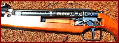 cutaway Diana air rifle.
cutaway Diana pellet ifle.
cutaway air gun.
sectioned Diana air rifle. 
sectioned Diana pellet rifle.
sectioned air gun.
Cut away air gun.
Cut away air rifle
