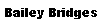 Text Box: Bailey Bridges
