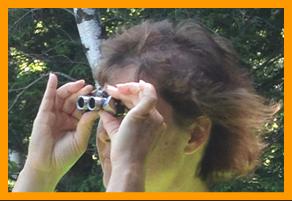 Woman Viewing With Binoculars